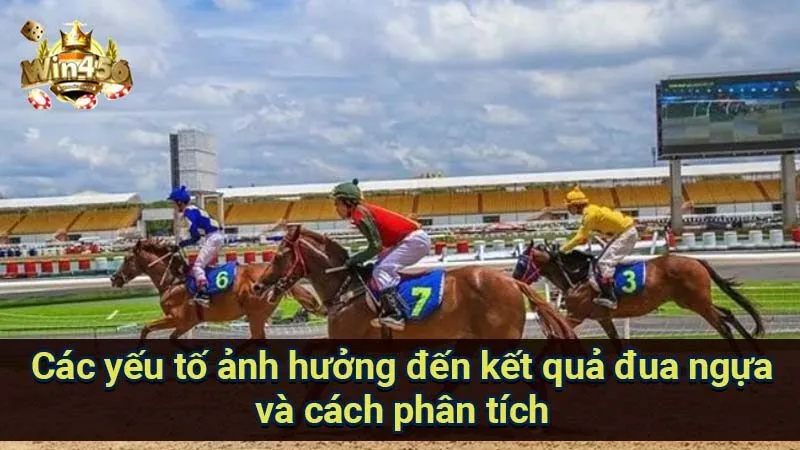 Cá Cược Đua Ngựa: Phân Tích & Kinh Nghiệm Chuyên Gia 7 cac-yeu-to-anh-huong-den-ket-qua-dua-ngua-va-cach-phan-tich