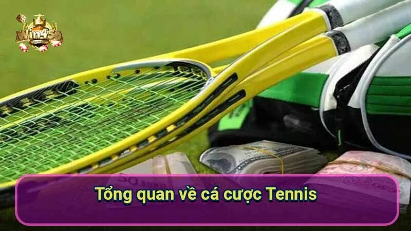 Cá Cược Tennis: Hướng Dẫn Chi Tiết & Chiến Thuật 5 tong-quan-ve-ca-cuoc-tennis
