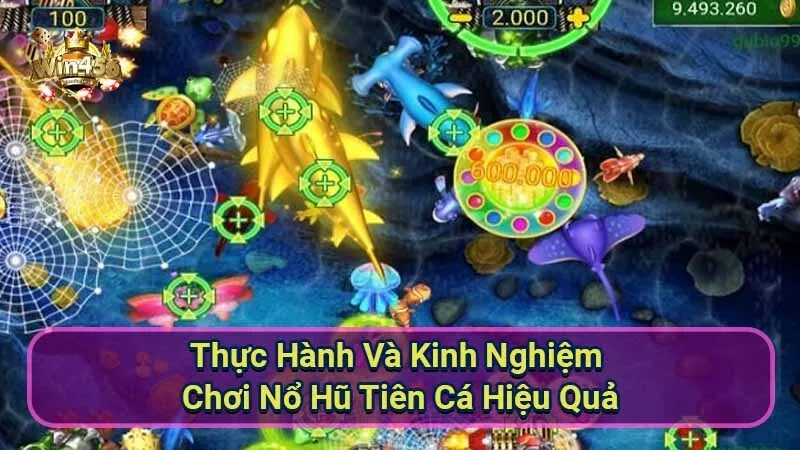 Hướng Dẫn Chơi Nổ Hũ Tiên Cá Chi Tiết 7 thuc-hanh-va-kinh-nghiem-choi-no-hu-tien-ca-hieu-qua