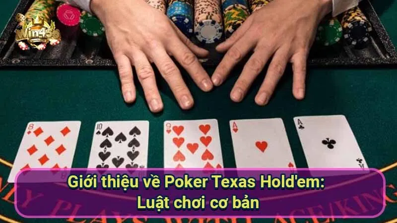 Poker Texas Hold’em: Luật Chơi, Thuật Ngữ & Chiến Thuật 5 gioi-thieu-ve-poker-texas-hold'em:-luat-choi-co-ban