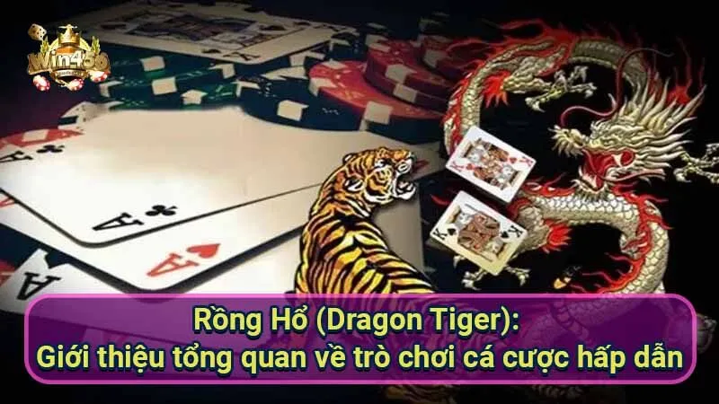 Chiến Thuật Đặt Cược Rồng Hổ (Dragon Tiger): Tăng Cơ Hội Thắng Lớn 5 rong-ho-(dragon-tiger):-gioi-thieu-tong-quan-ve-tro-choi-ca-cuoc-hap-dan