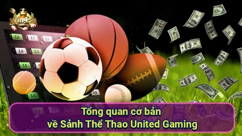 Sảnh Thể Thao United Gaming: Đánh giá chi tiết 5 tong-quan-co-ban-ve-sanh-the-thao-united-gaming