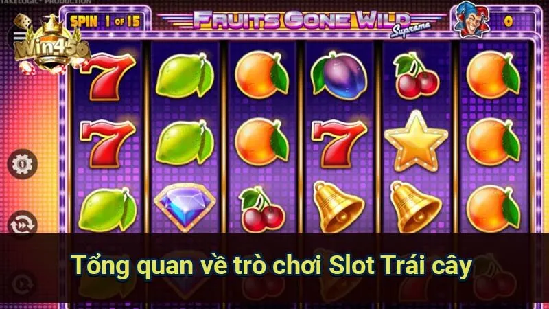 Tổng Quan Slot Trái Cây: Chơi Như Thế Nào Để Thắng Lớn? 5 tong-quan-ve-tro-choi-slot-trai-cay