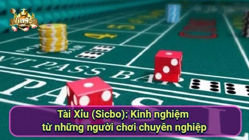 Chiến thuật Tài Xỉu (Sicbo): Bí quyết thắng lớn từ chuyên gia 6 tai-xiu-(sicbo):-kinh-nghiem-tu-nhung-nguoi-choi-chuyen-nghiep