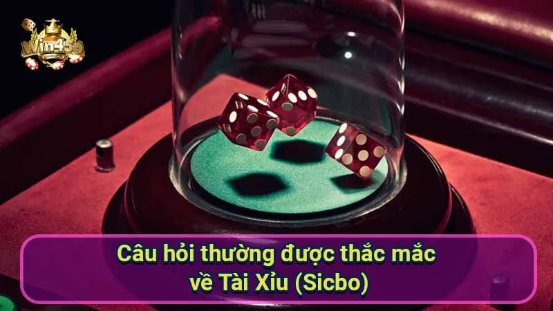 Chiến thuật Tài Xỉu (Sicbo): Bí quyết thắng lớn từ chuyên gia 7 cau-hoi-thuong-duoc-thac-mac-ve-tai-xiu-(sicbo)