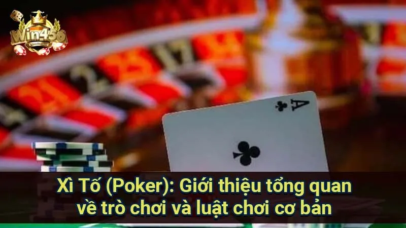 Chinh Phục Xì Tố (Poker): Từ Cơ Bản Đến Chuyên Nghiệp 5 xi-to-(poker):-gioi-thieu-tong-quan-ve-tro-choi-va-luat-choi-co-ban