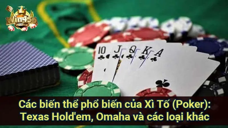 Chinh Phục Xì Tố (Poker): Từ Cơ Bản Đến Chuyên Nghiệp 7 cac-bien-the-pho-bien-cua-xi-to-(poker):-texas-hold'em-omaha-va-cac-loai-khac